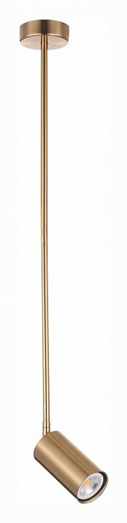 Светильник на штанге ST-Luce SL1206.303.01