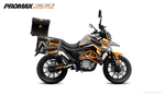 Мотоцикл PROMAX ADVENTURE 300 PRO EFI (NB300) V1