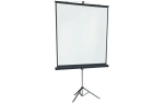Экран на штативе Lumien 220x220 см (1:1) LMV-100111