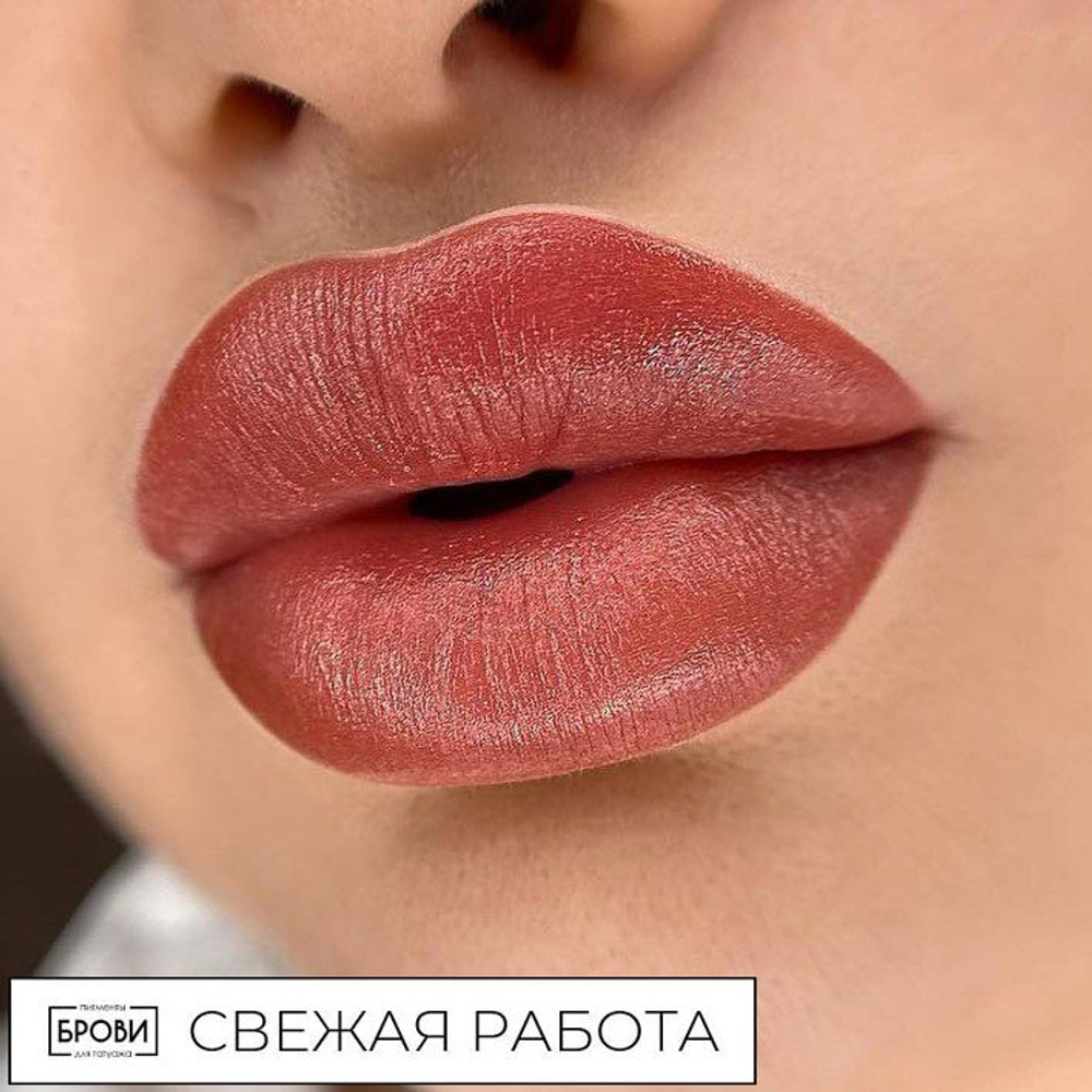 Пигмент Брови Sveta Schwarz Primer Set, 15мл