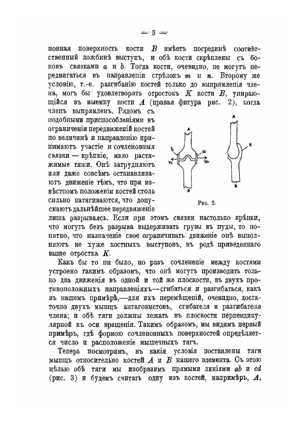 Очерк рабочих движений человека | И. М. Сеченов