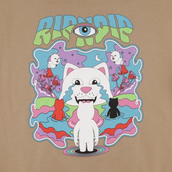 Толстовка мужская Ripndip Tears To Heaven Hoodie артикул:RND9933 - купить в магазине Дайс