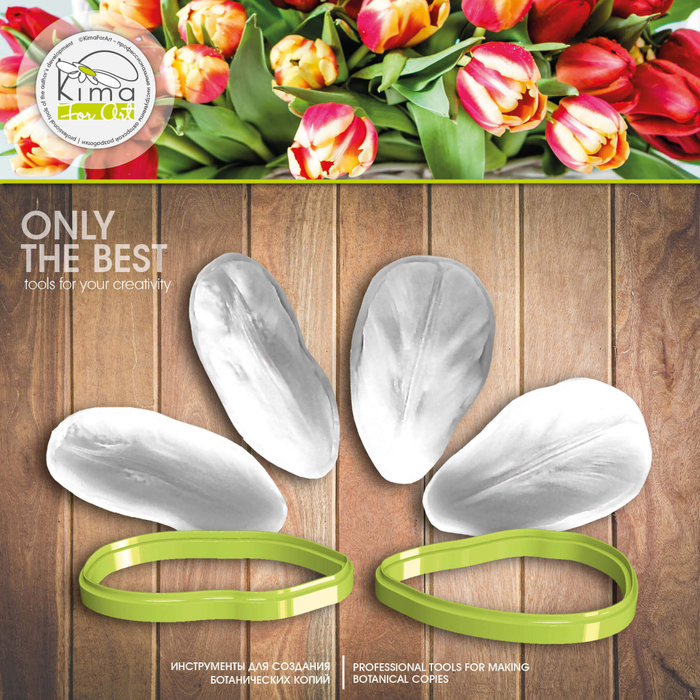 Тюльпан лепестки