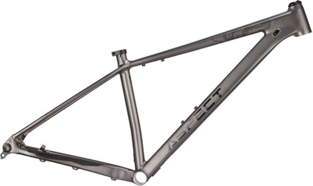 Рама Aspect AMP DC Expert 29 (2026) / L (20"), Серый