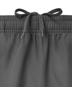 Шорты парадные JÖGEL PREMIER PerFormDRY Woven Shorts, темно-серый