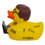 Программист уточка