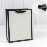 Пакет подарочный 18х23х10см "Рамка широкая" (Белый, Черный)