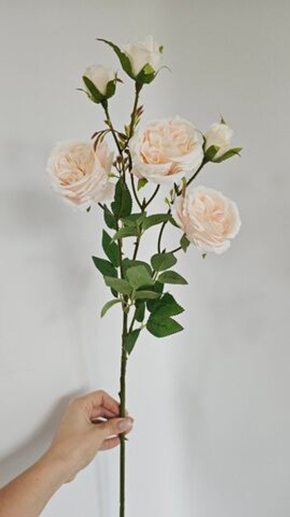 Роза пионовидная / Арт 2362