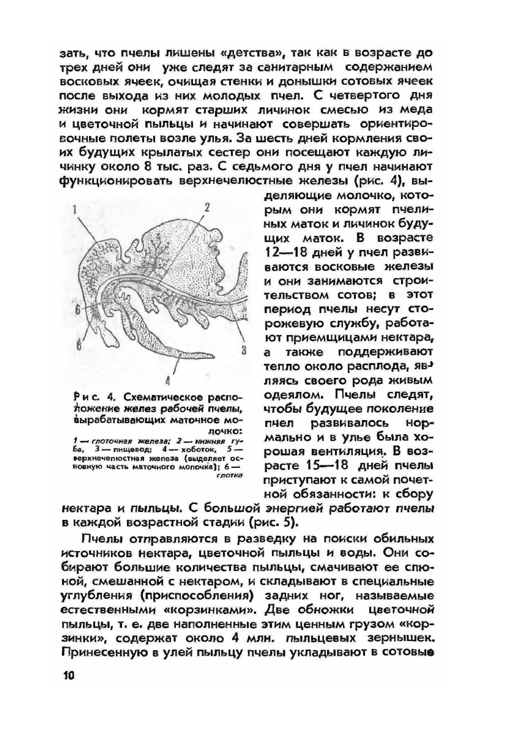 Продукты пчеловодства и их использование | Н.П. Иойриш