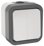 TORS Выключатель двухклавишный 10А IP55 TS205 серо-белый IEK