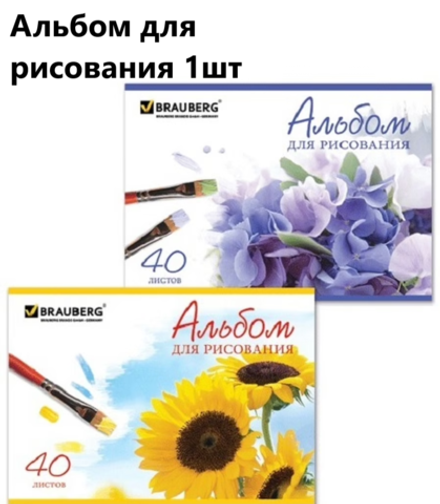 Альбом для рисования 40л, А4, Brauberg Цветы, на скрепке, обл. картон