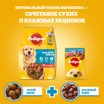 Влажный корм для взрослых собак PEDIGREE с говядиной и ягненком в соусе 85 г