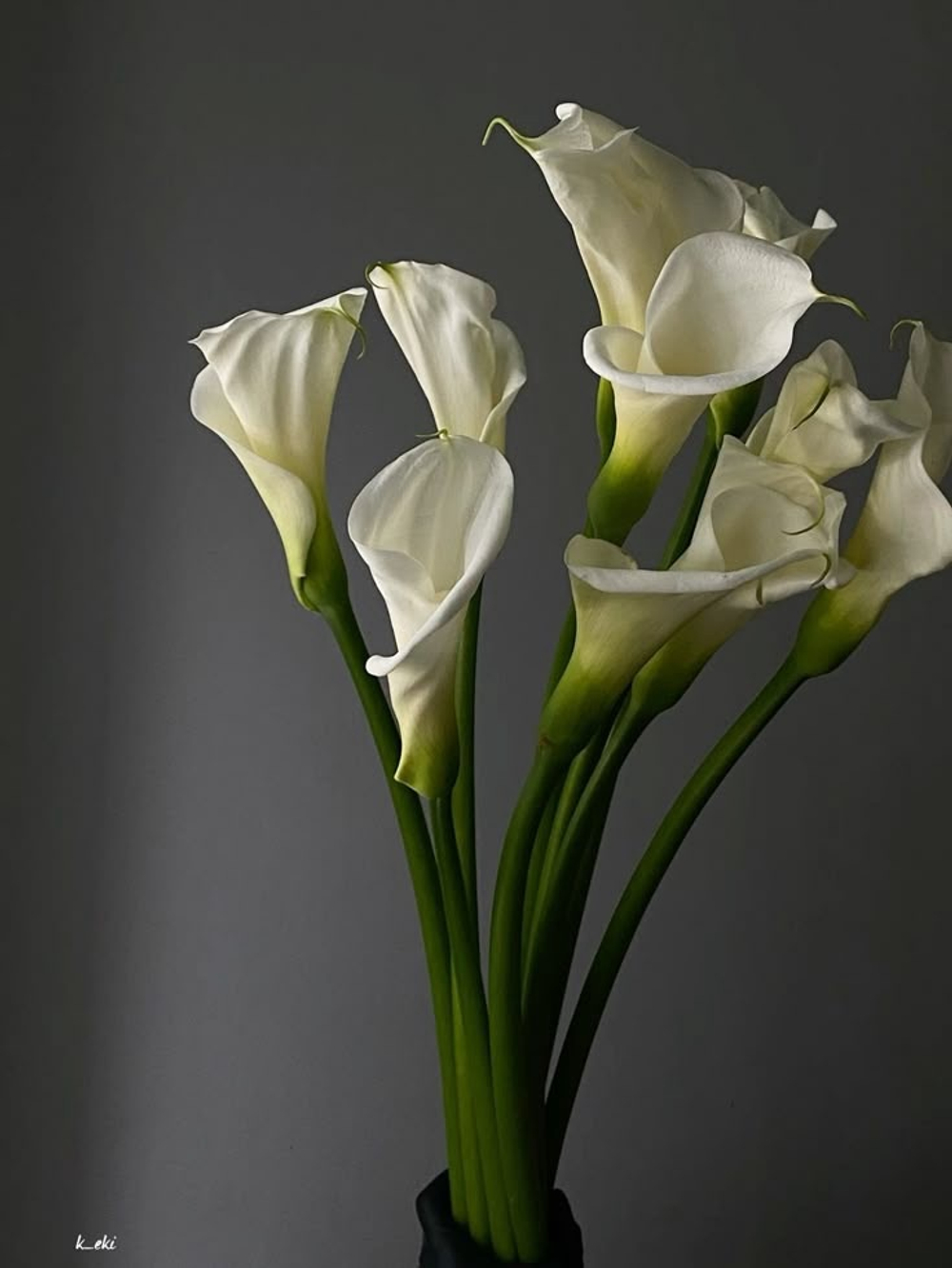 Калла белая