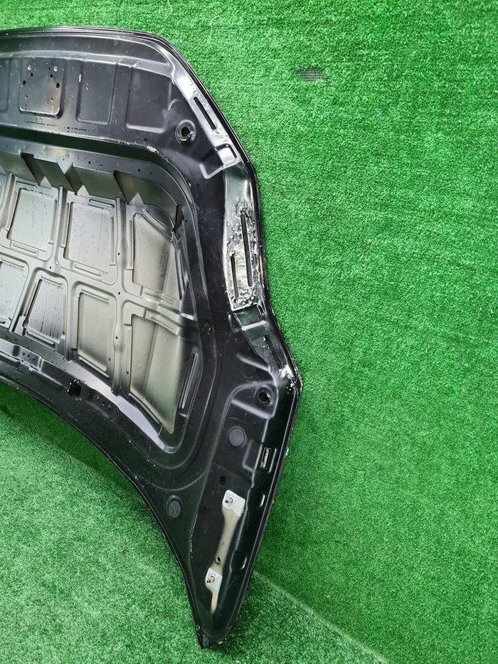 Капот Zeekr 001 (2021-н.в.)