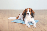 Охлаждающая подстилка для собак Trixie Cooling Mat XL, размер 90х50см.