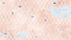 Коллекция WONDERLAND