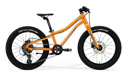 Детский велосипед Merida Matts J.20+ (2022)