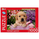 Пазл 1000эл. "Милый щенок" 4680107925541 (Умные игры)