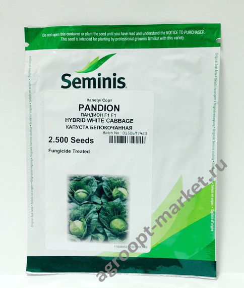 ПАНДИОН F1 семена капусты белокочанной (Seminis | Alexagro) – фото 8