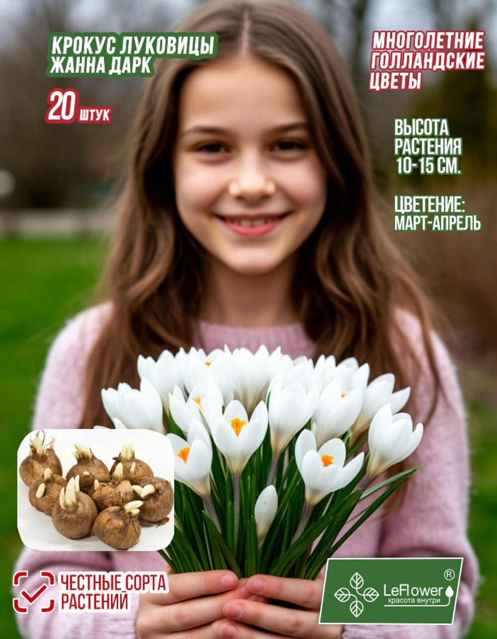 Крокус Луковица цветов, Жанна Дарк, 20шт