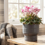 Кашпо КАРЕ D150 мм 1 л со вставкой 15*15*14см М3256