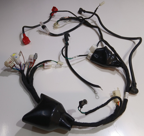 Проводка Мотоцикл PROGASI Palma 250