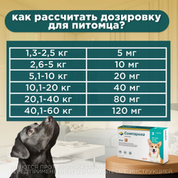 Таблетки жевательные от блох и клещей "Симпарика" 80мг/ для собак крупных пород от 20,1 до 40кг/ 3 штуки в упаковке
