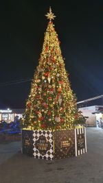 Уличная Гирлянда БЕЗ режимов "Классик одноцветный" (24В) для уличных елок от 3 до 15 м