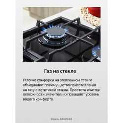 Газовая панель Hansa BHKS310300