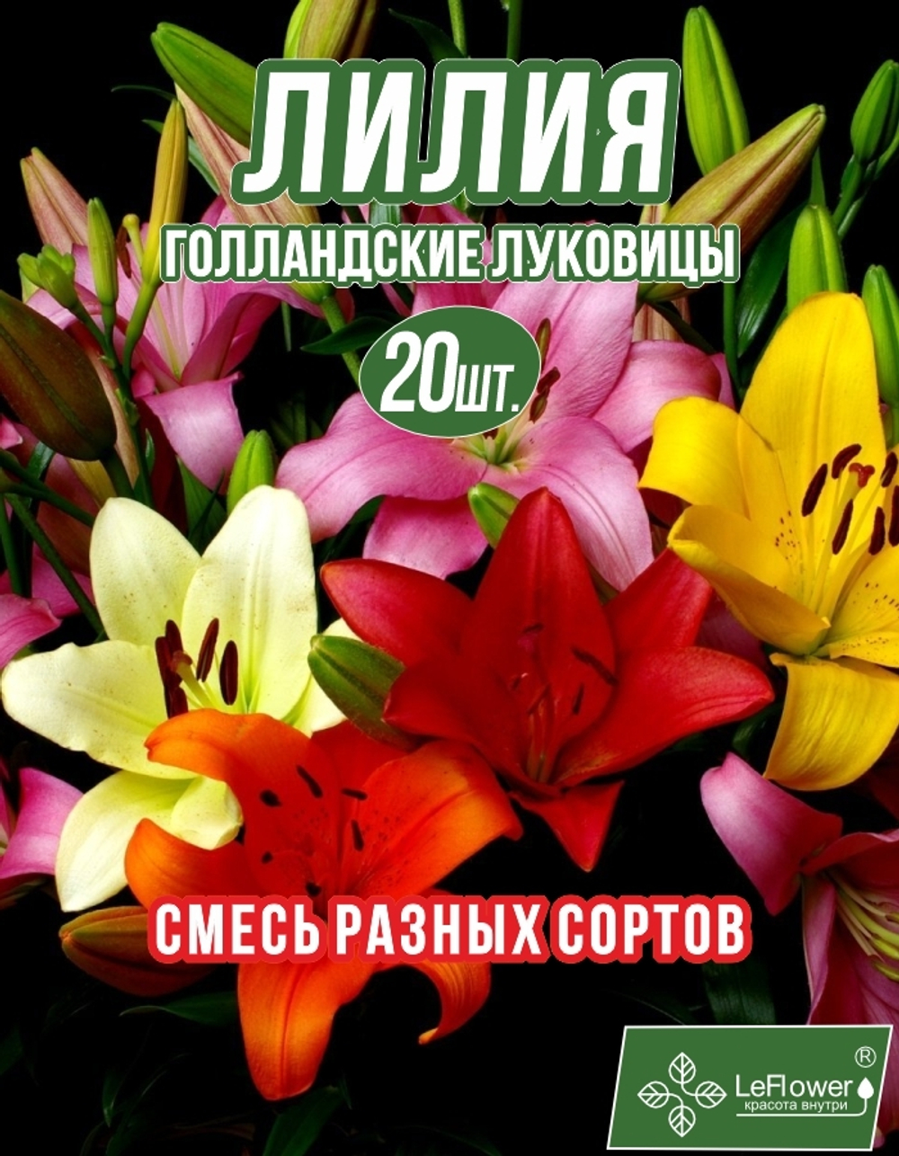 Лилия Луковица, Микс разные, 20шт