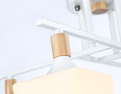 Ambrella Подвесная люстра Modern TR9495