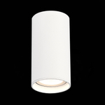 ST157.542.15 Светильник потолочный Белый LED 1*15W 4000K 1 200Lm Ra&gt;90 60° IP44 D75xH140 220-265V Накладные светильники