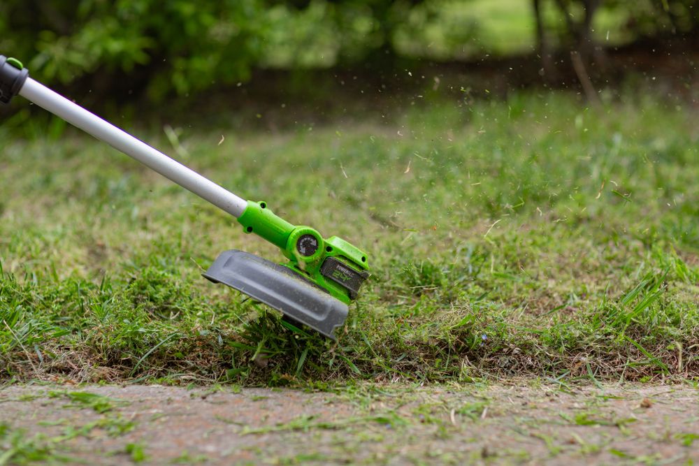 Триммер аккумуляторный Greenworks G24LT301, 24V, 30 см, с 1хАКБ 4А и ЗУ (2113207UB)