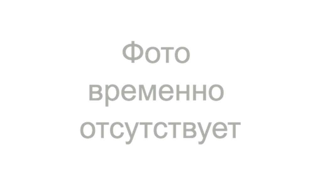 Заглушка ревизии Термо-Р 201, 0,5, D 350