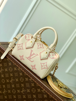 Louis Vuitton Speedy 20