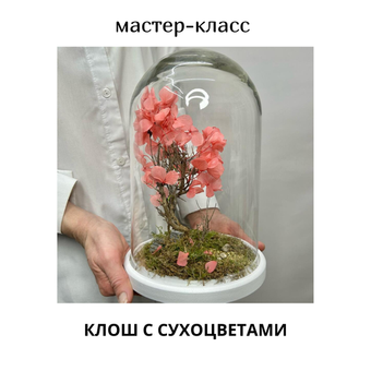 Мастер-класс «Клош с сухоцветами»