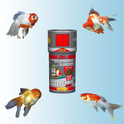 JBL GoldPearls mini Click 100 мл - основной премиум корм для маленьких золотых рыб (мелкие гранулы), банка с дозатором