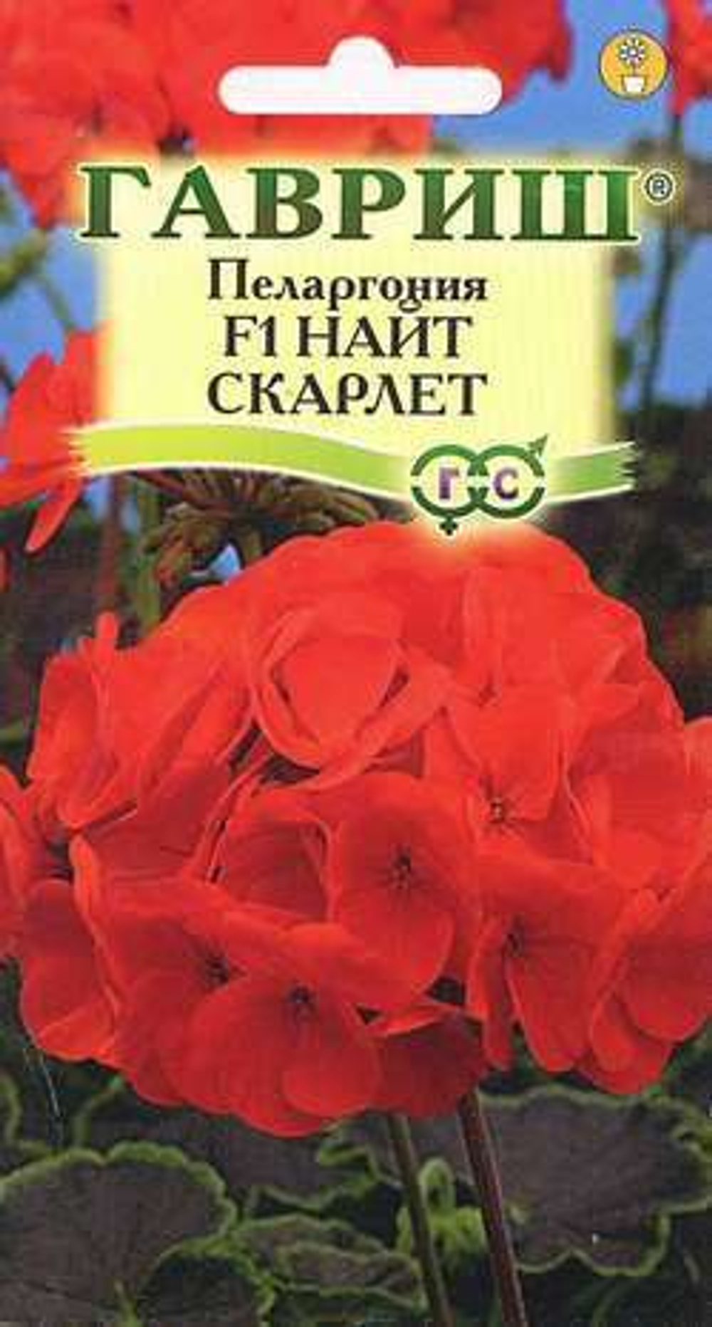 Пеларгония "Найт Скарлет F1" 4 шт. Гавриш