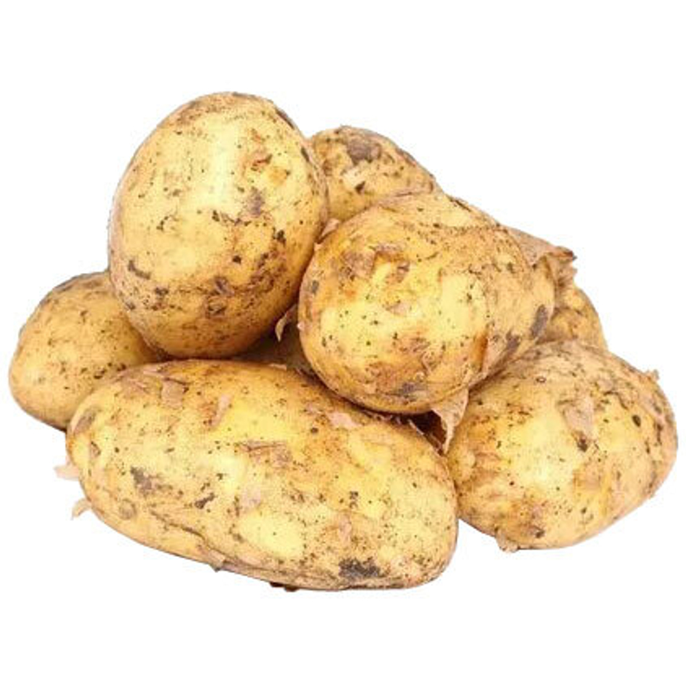 308150