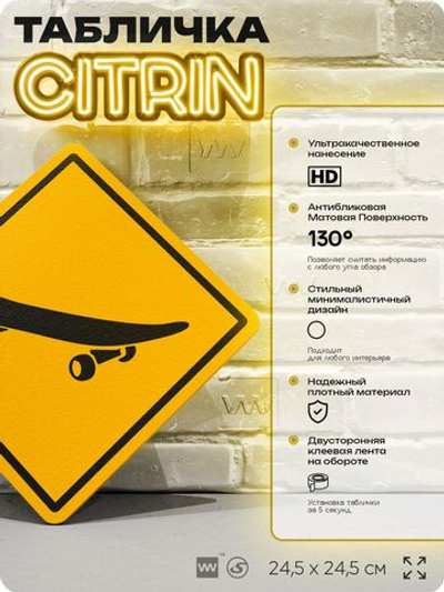 Табличка декоративная "Скейт" на дверь и стену, спортивная, информационная, декоративный знак, 24,5х24,5 см, пластиковая, Айдентика Технолоджи