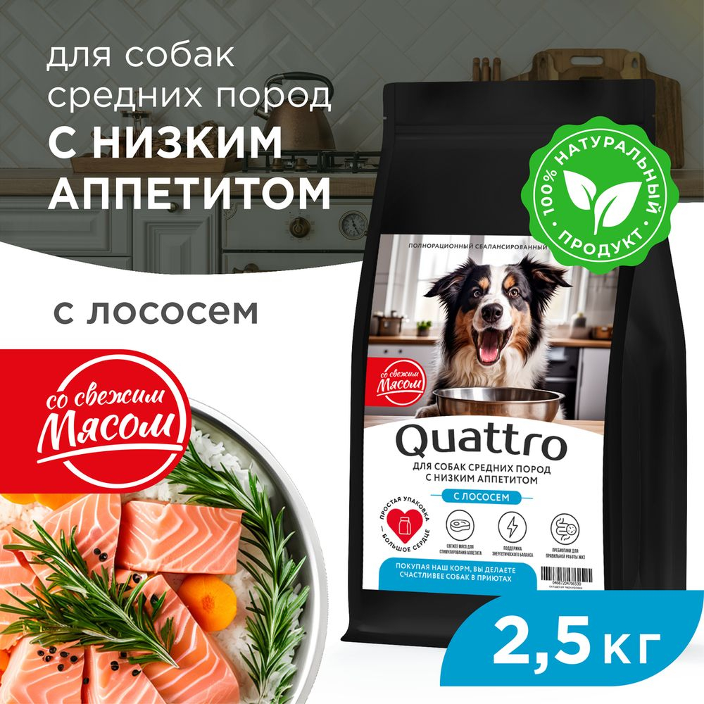 Корм сухой для взрослых собак средних пород, премиум полнорационный комплекс, низкий аппетит, с лососем, 2,5 кг, QUATTRO