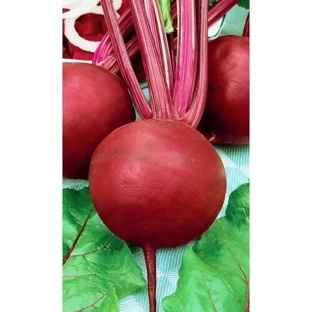 Семена Свекла Цыганка (УД) Е/П