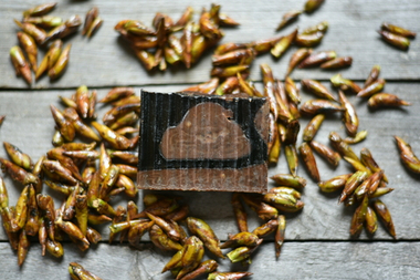 Тополиные почки, натуральное мыло