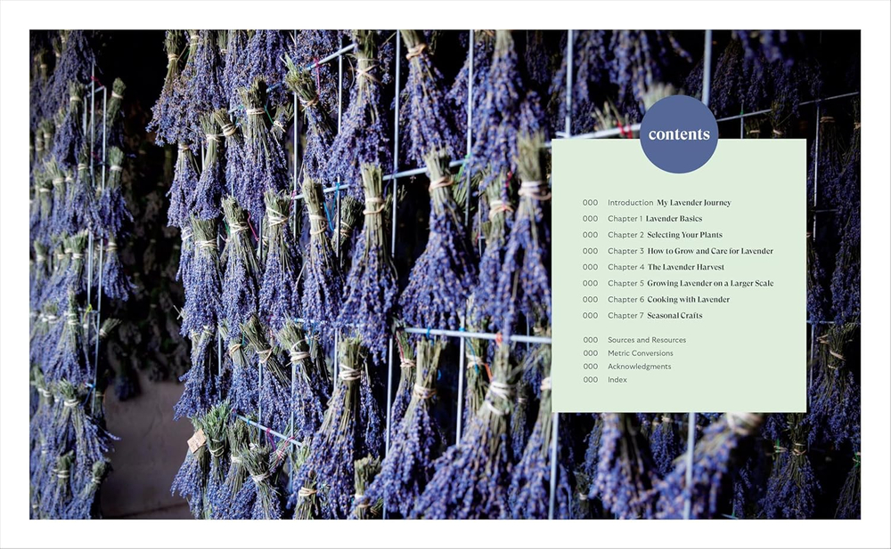 Lavender for All Seasons
