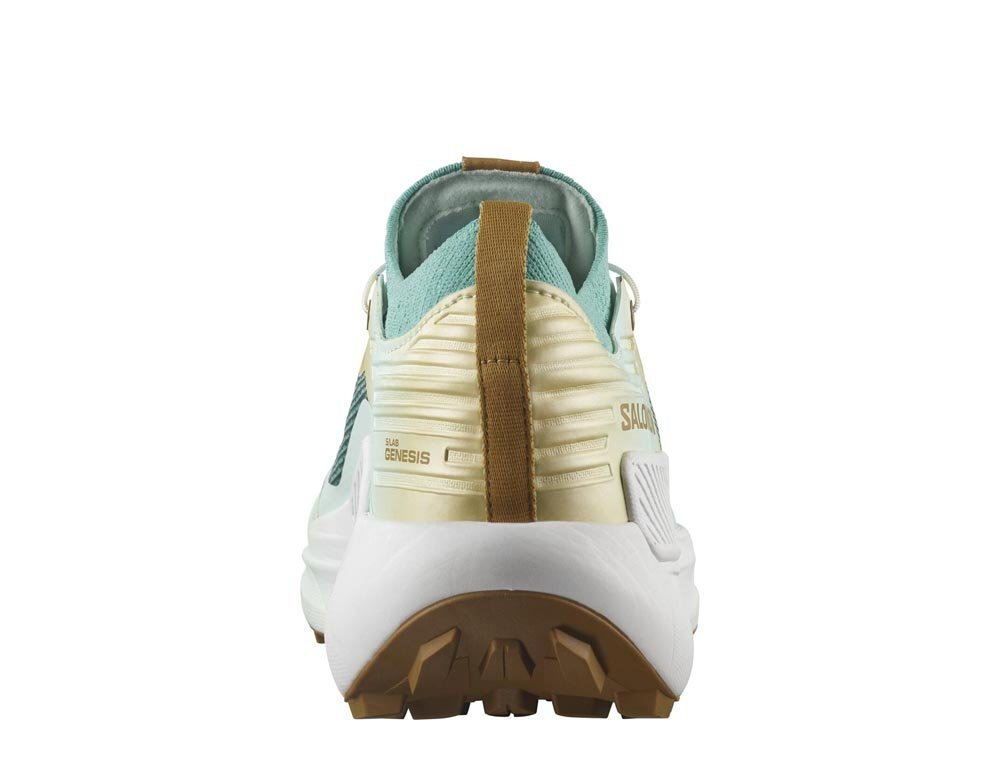 Кроссовки для бега мужские Salomon S/LAB Genesis M LTD Courtney v2 Watf Мультиколор