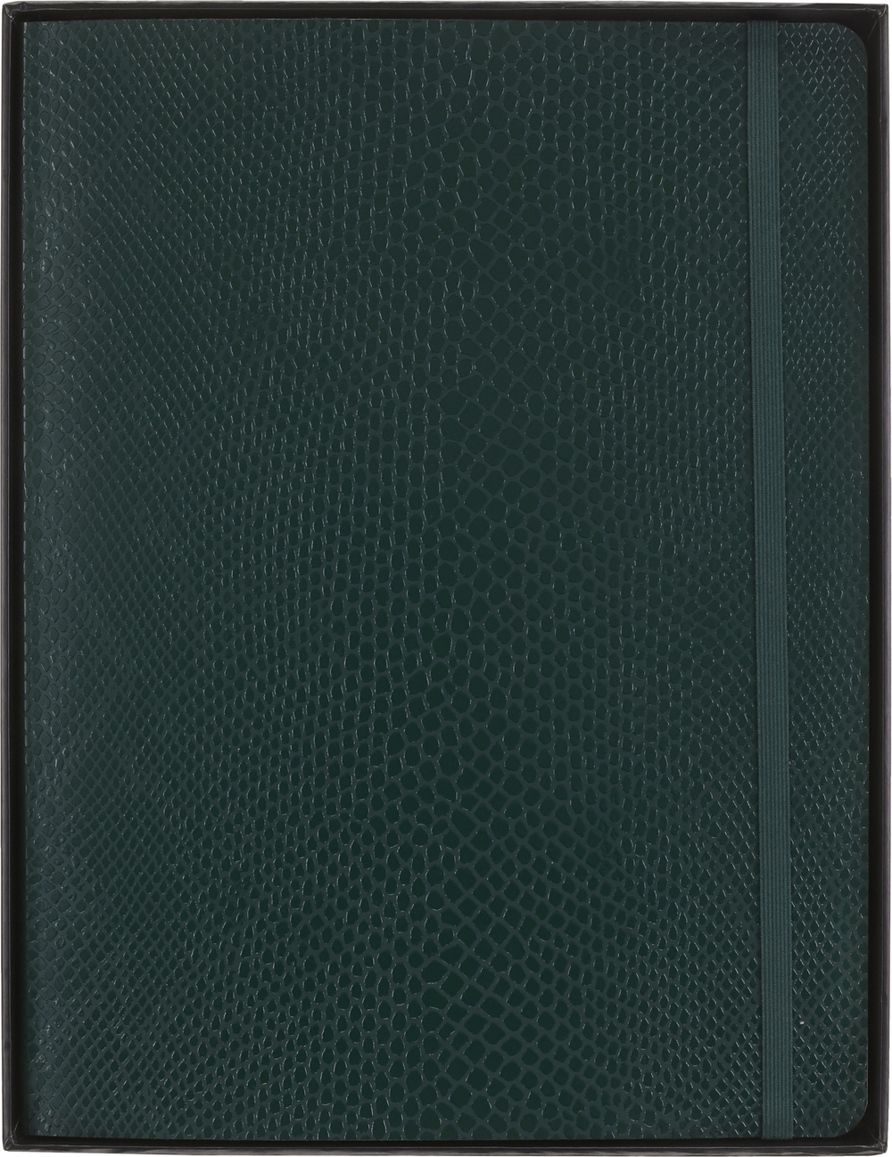 Блокнот Moleskine LE Soft Vegan Leather XL (QP621K54VBOABOX) 19х25см, мягкая обложка, зеленый в подарочной коробке