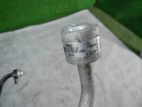 DSCN4313.JPG