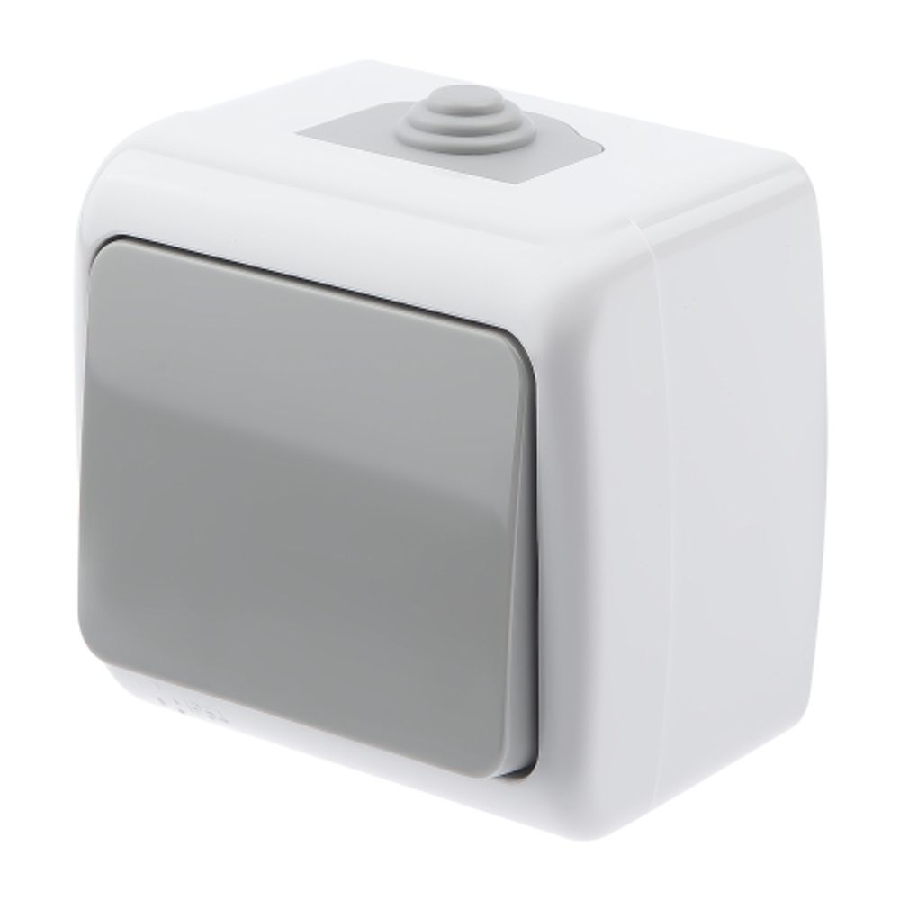 Выключатель Intro Atlantic 5-101-03 10А-250В, IP54, открытой установки, серый | Intro