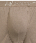 Мужские трусы шорты Atlantic, набор из 3 шт., бамбук, бежевые + коричневые + сине-зелёные, 3MH-231