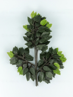 Ветка дерева фикус зеленая (связка 12шт)